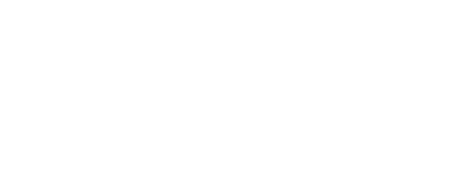 Logo south journesy travel en color blanco